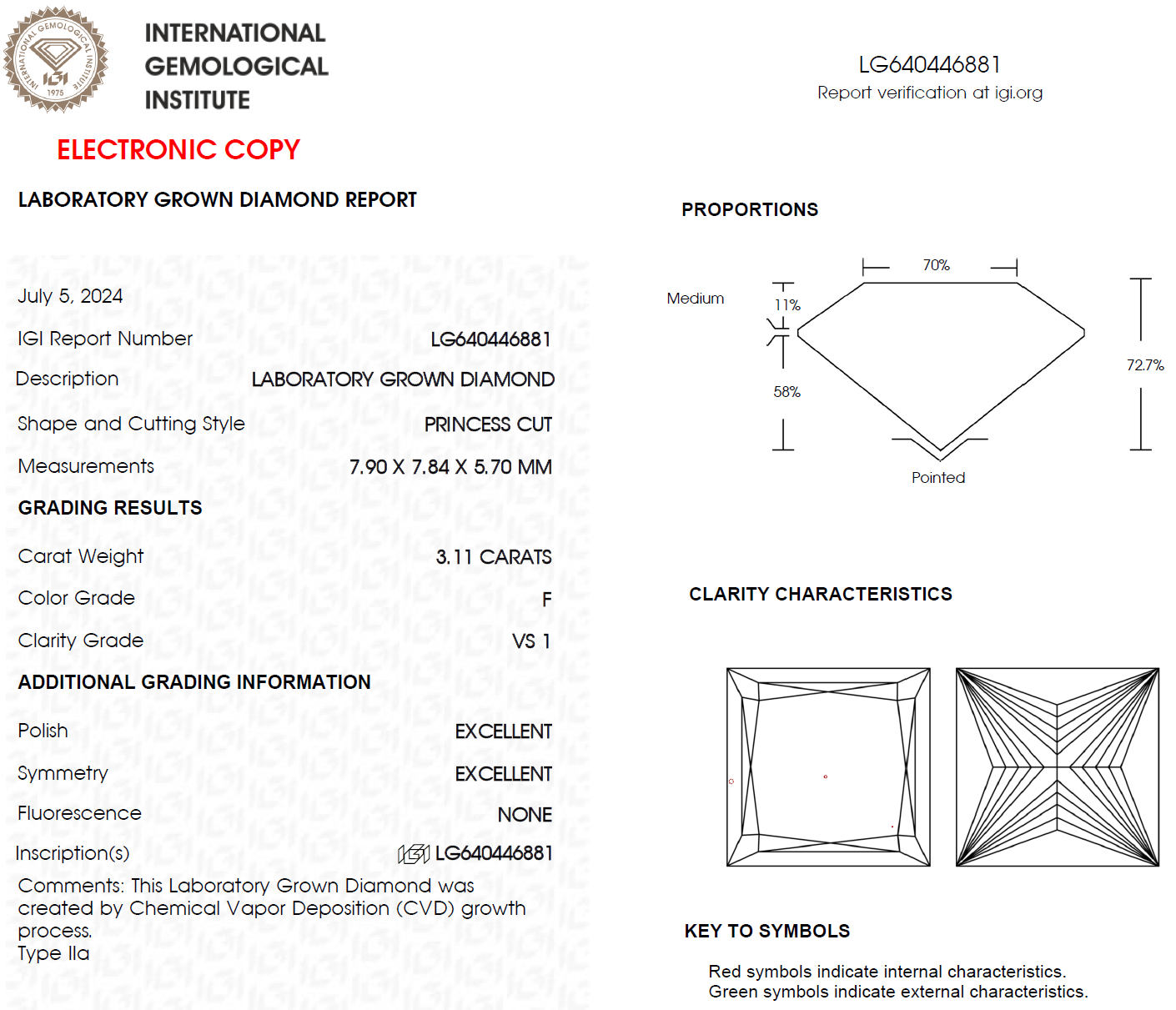 3.11 CT Princess Cut Lab Grown Diamond for Earrings | Best for Anniversary Gift | IGI Certified | Gift for Man