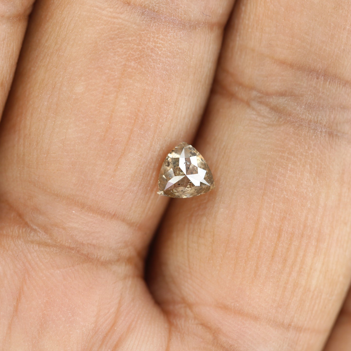 0.79 CT Natural Grey Galaxy Trillion Shape Salt And Pepper Diamond For Her - JayKrishna Diamond