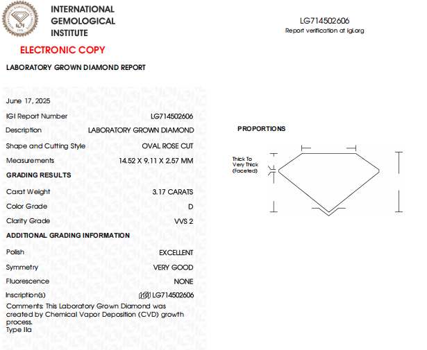 3.17 CT D Color VVS2 Clarity Oval Rose Cut Lab Created Diamond For Best Diamond Gift