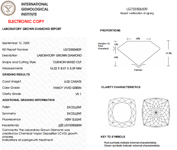Long Cushion Cut Lab Created IGI Certified Diamond For Best Jewelry
