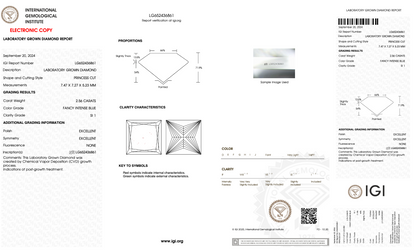 Princess Cut Lab Grown Diamond | Loose Diamond for Engagement Ring & Wedding Band